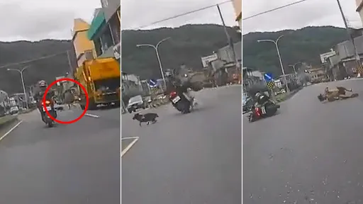 狗狗「鬼探頭」拉飼主暴衝馬路　騎士閃不過撞車摔翻