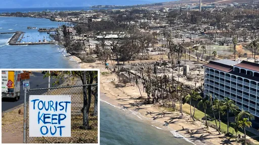 夏威夷大火料奪百命！旅客照常戲水　居民怒斥：腦子在想什麼