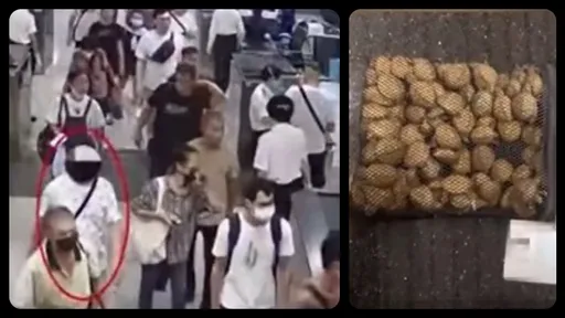 露餡影片!他過海關慌張可疑 包包裡搜出219隻瀕危物種