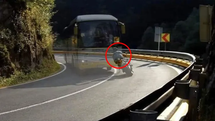 圖片經水平翻轉呈現台灣靠右行駛的情況。翻攝自@sunaotch推特