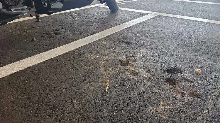 近距離拍攝地面，明顯可見柏油地坑坑疤疤一堆洞。翻攝臉書社團「重機車友 ❘ 各區路況天氣、資訊分享中心」