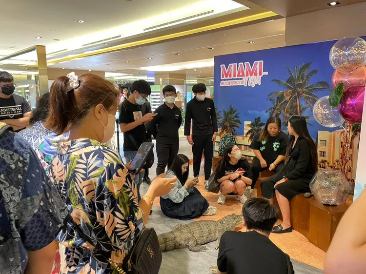 與「鱷鄰居&沙西米」來場超近距離接觸