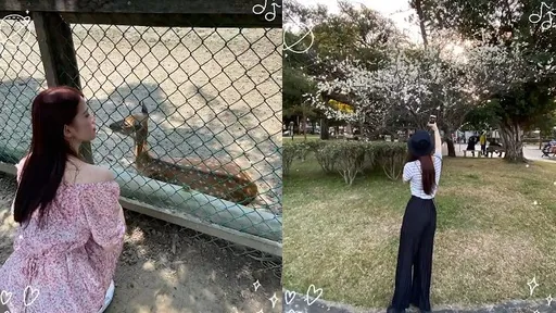 一個跟你無關女生的生活圖輯　不要問我幹嘛看