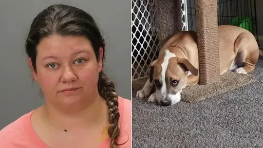 30歲女「性侵愛犬」爽喊好孩子 男友意外目睹6分鐘人獸交