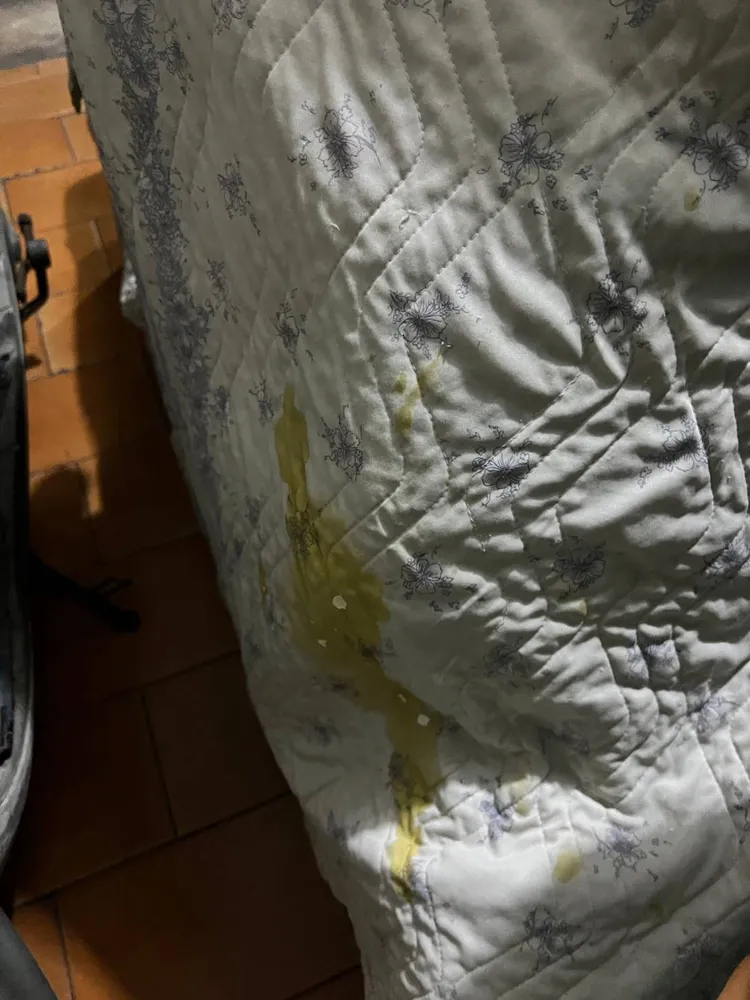 被害人處所遭暴力討債集團噴漆、蛋洗、砸毀門窗。翻攝畫面