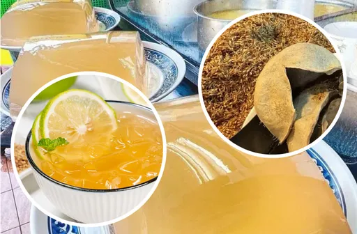 NHK日劇有愛玉子 日本植物學之父命名故事入戲