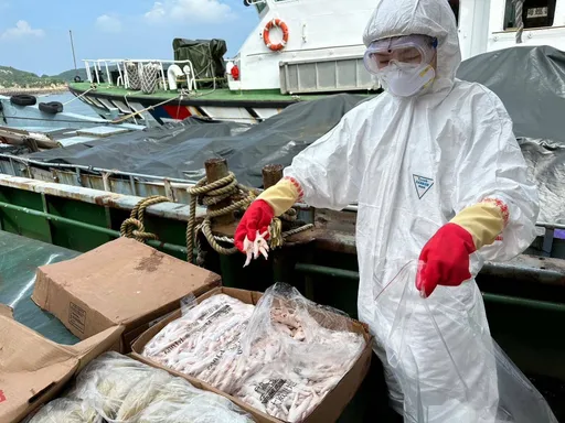 中國籍船隻偷偷駛入我海域 海巡強勢登船發現56噸牛肚、雞爪、牛筋
