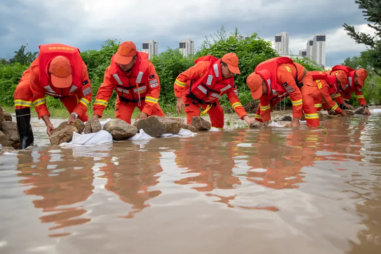 黑龍江省。新華社