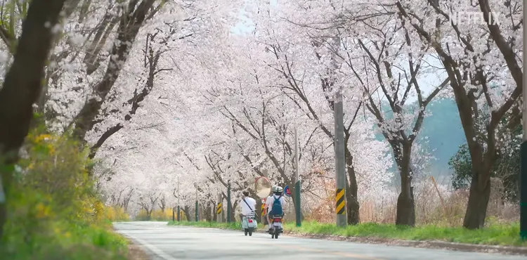 《走進你的時間》還原台版「鳳南小隊」騎機車上下學場面。翻攝Netflix