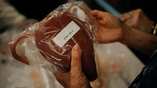 二寶媽「子宮不用了」捐妹妹接棒　英首例成功移植！她興奮：盡可能一直生