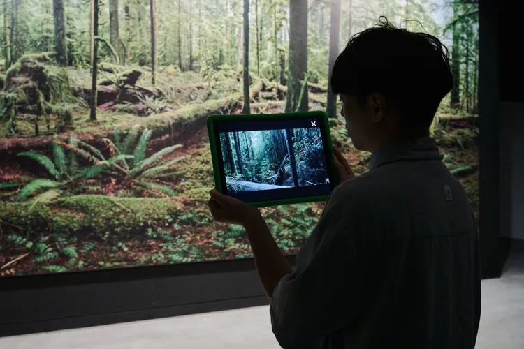 高美館《人類世》一展中，民眾可透過AR體驗，觀看隱藏在影像內不為人知的故事。攝影Studio Millspace