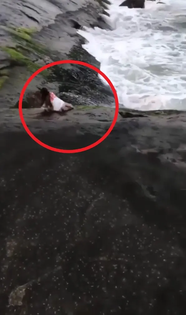 在岩石邊看海拍照瞬間滑倒。IG@videozaman1 提供