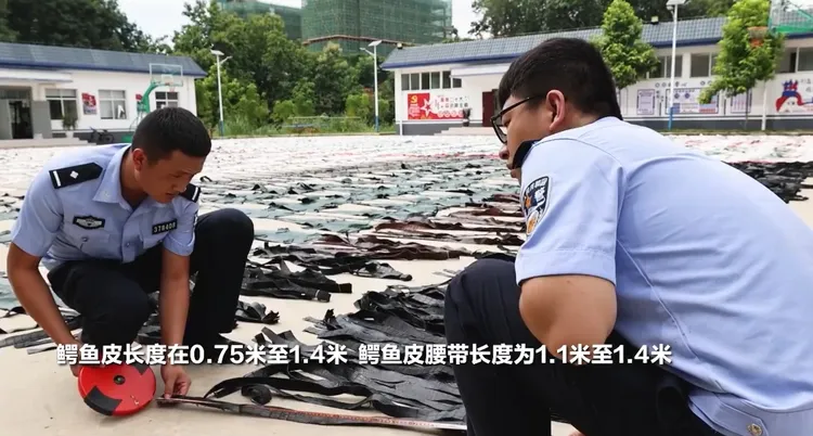 翻攝微博