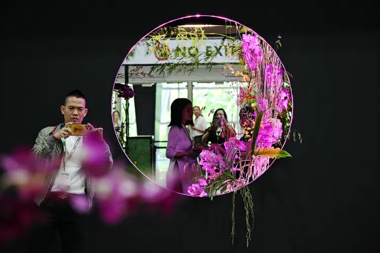 新加坡正舉行「亞太蘭花會議暨蘭展」。新華社