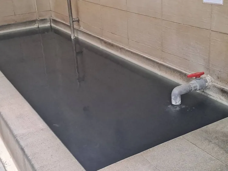 北市公園處提供