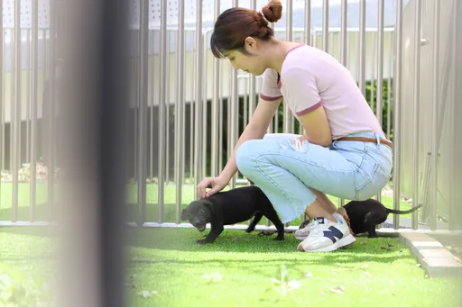打造動物友善城市 竹縣制定《動物保護自治條例》