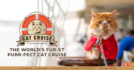繼狗狗郵輪「貓咪郵輪」登場 新加坡船公司讓你帶貓吹海風
