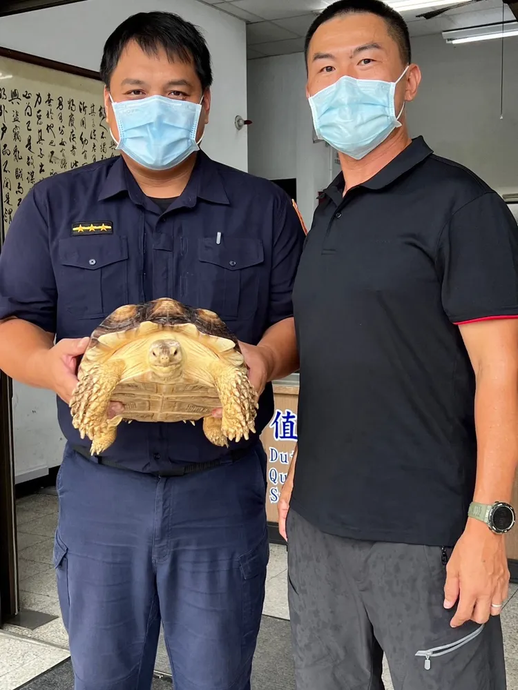司機將烏龜送到派出所。翻攝畫面