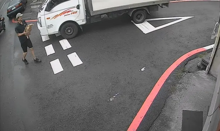 貨車駕駛開車時發現，對向迎面來了一隻大烏龜。翻攝畫面