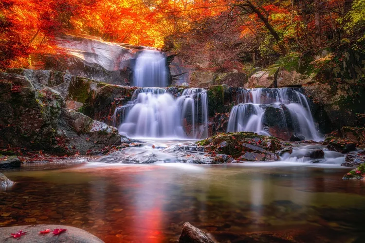 韓國經典賞楓勝地雪嶽山。可樂旅遊提供