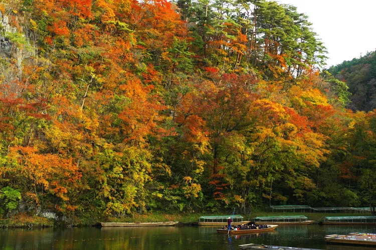 日本猊鼻溪渡輕舟享秋景。可樂旅遊提供