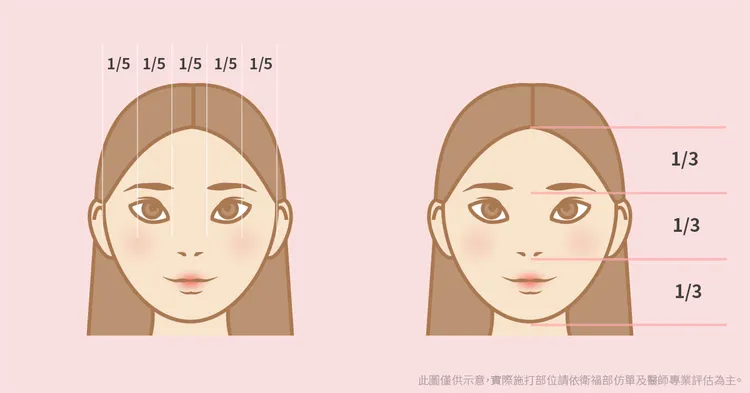 圖左為五眼比例，圖右為三庭比例。