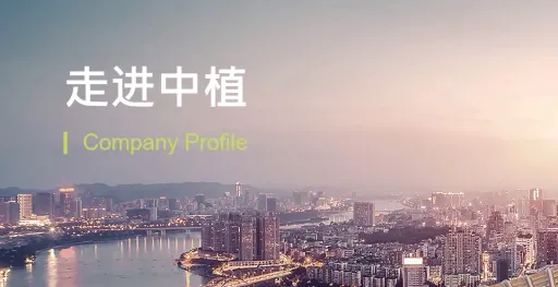 「中植系」風暴台灣金融三業沒人踩雷　國人投資碧桂園曝險金額有這些