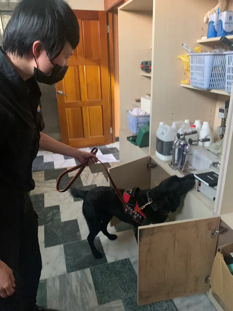 緝毒犬協助警方查獲毒品。警方提供