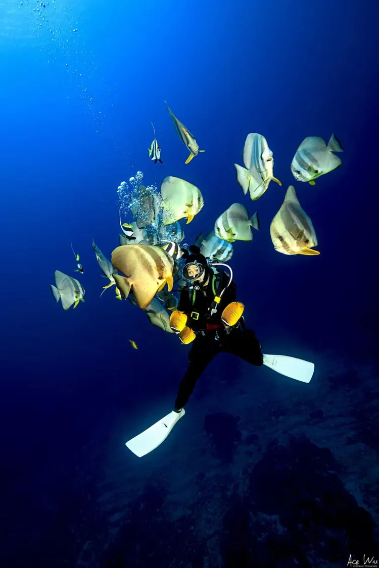 彈頭喜愛戶外運動，不時潛入深海。彈頭提供