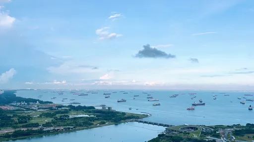 新加坡豪華郵輪乘客墜海 兒子:母親生日當天相信已離世