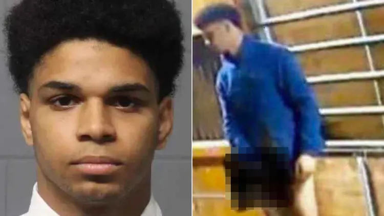 凱利。翻攝自《每日星報》