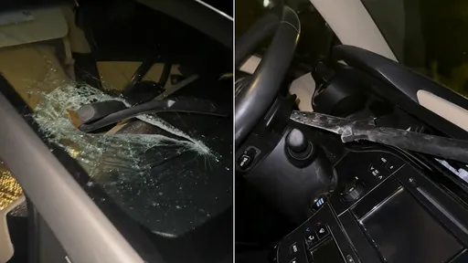 駛高速公路「長矛射進駕駛座」　汽車捨身護主！她驚呆：我差點就死了