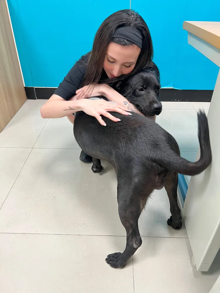 孫尤安出手救下狗寶。孫尤安本人提供