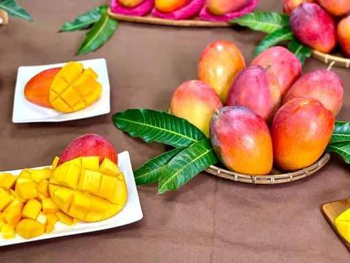 中國暫停進口台灣芒果:檢測到「有害生物」