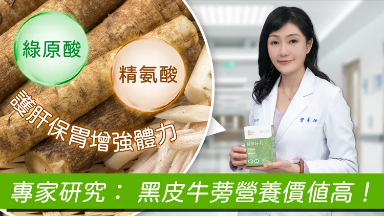 ▲營養師劉昱伶表示，更加粗壯的日本柳川「黑皮牛蒡」，相關營養價值更是比一般牛蒡還高。