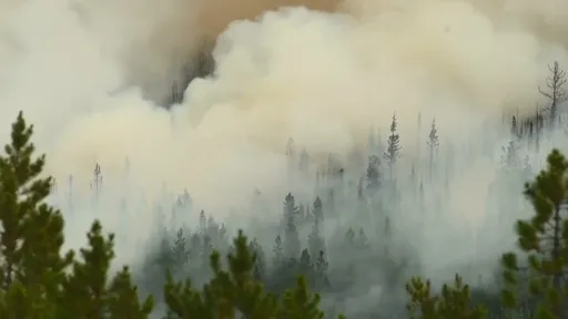 公視推「環境週特別報導」 探討台灣與全球如何減緩惡化