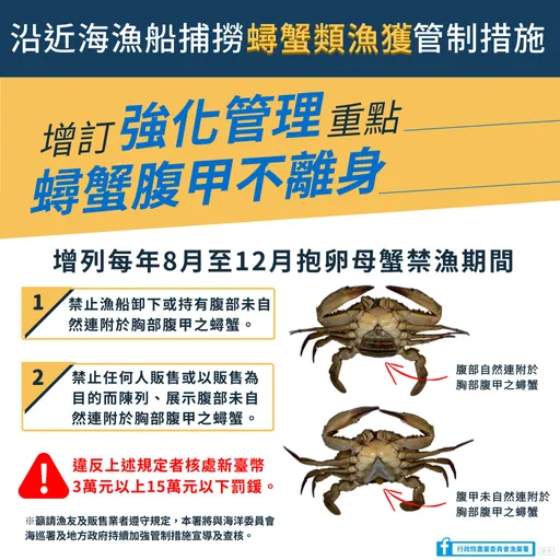 抱卵母蟹今起禁捕 販售也違法!重罰15萬