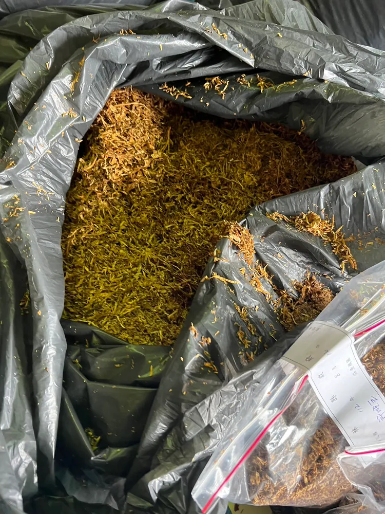嫌犯進口「下腳料」菸葉碎屑，製成偽劣菸品販售。海巡署提供
