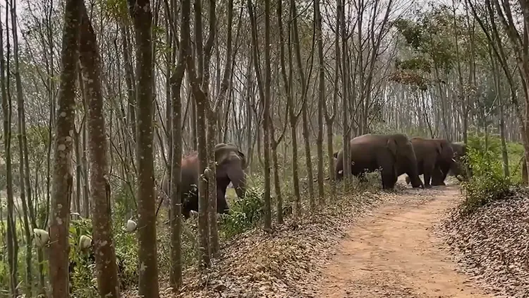 翻攝自《人民日報》
