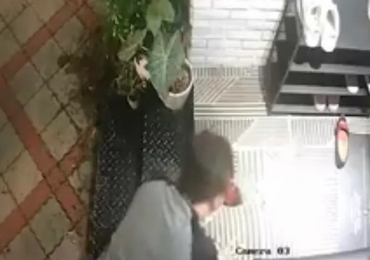 噁男近二個月來反覆犯案。翻攝自《台南府城大小事》