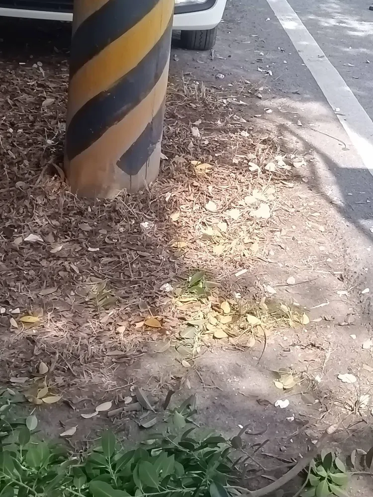 電桿底下有礙子碎片。台電提供