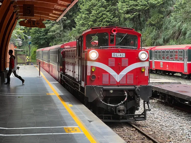 祝山、沼平、神木等3條支線今日恢復正常營運。林鐵處提供