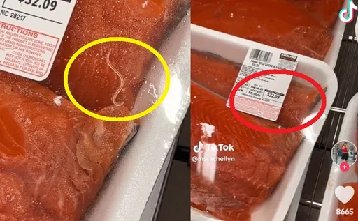 好市多鮭魚「附贈」蠕動蟲蟲 網友:果然是活跳跳現流的