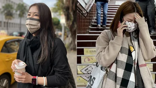 蘿莉塔輸慘了！辱女星「吃別人老公」　判刑定讞、釋憲失敗還要賠10萬確定