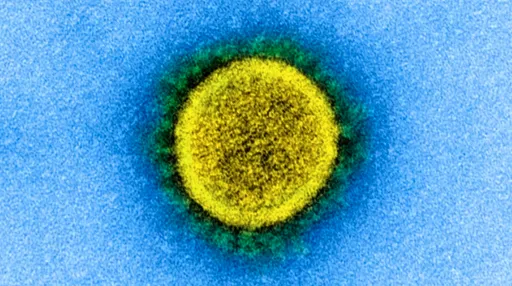 新冠疫情又見新轉折?加拿大首見BA.2.86變異株確診