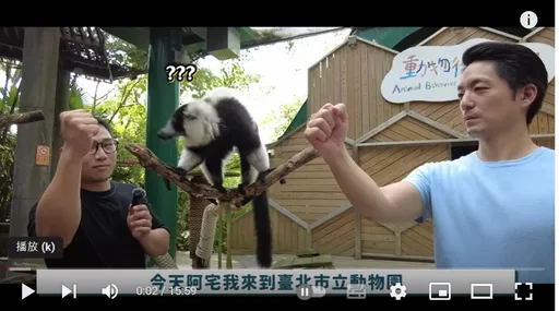 百萬網紅同框蔣萬安被親綠醫出征 動物園參戰:壽山邀陳其邁也是剛好而已