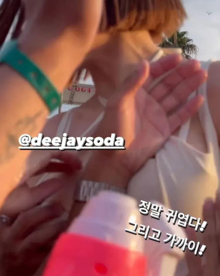 現場觀眾趁亂抓揉DJ SODA右乳，鹹豬手刷卡左胸及乳溝。翻攝自DJ SODA臉書