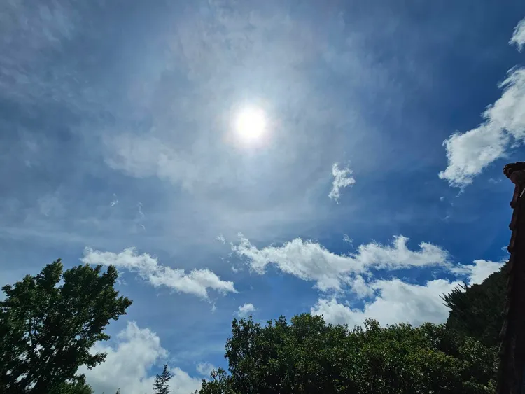 「日暈」是一種大自然的光學物理現象。武陵農場提供