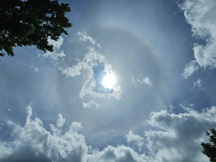 日暈與彩虹很相似，都會將光線分成七彩顏色，只是沒有彩虹明顯。武陵農場提供