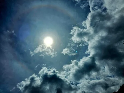 卡努颱風前夕武陵農場現日暈奇景　遊客目睹「天空之眼」驚呼連連